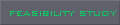 feasibility study