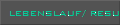 lebenslauf/ resume
